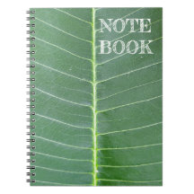 Naturens Embrace Spiral Photo