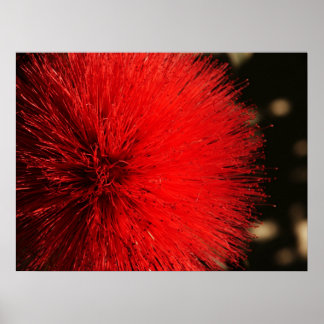 Naturens Fireworks Poster