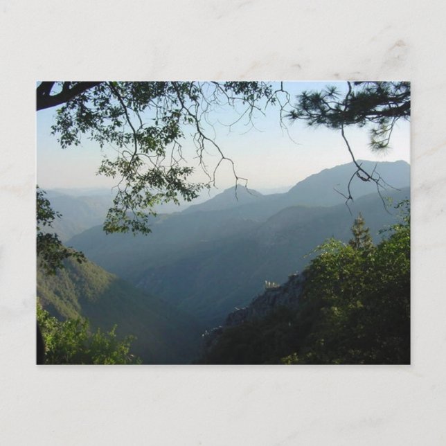 Naturens fönster II Vykort (Framsida)