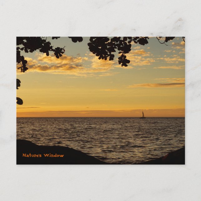 Naturens fönster vykort (Framsida)