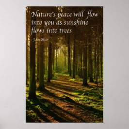'Naturens frid strömmar in i dig' J Muir citat Poster