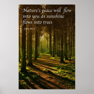 'Naturens frid strömmar in i dig' J Muir citat Poster
