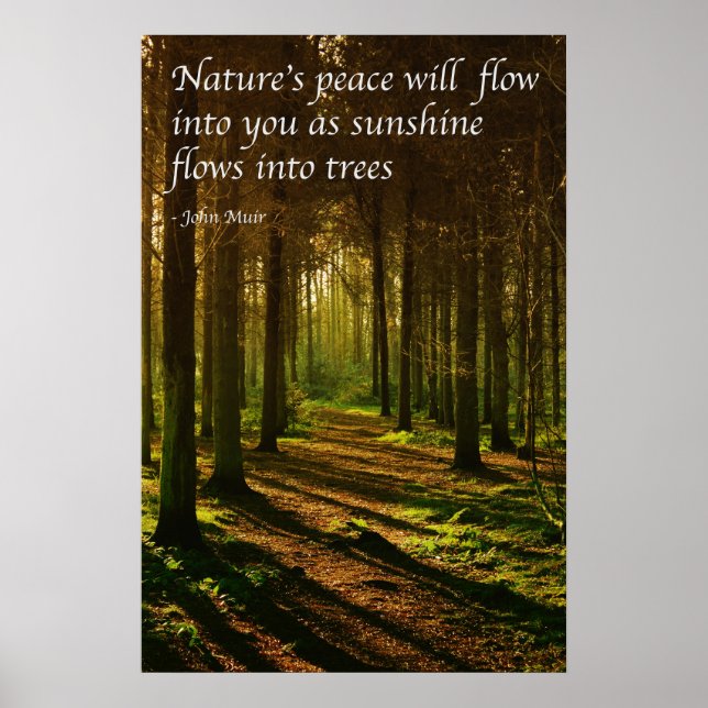 'Naturens frid strömmar in i dig' J Muir citat Poster (Framsidan)