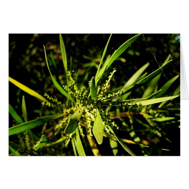 naturens grönt-kort hälsningskort (Framsidan Horizontal)