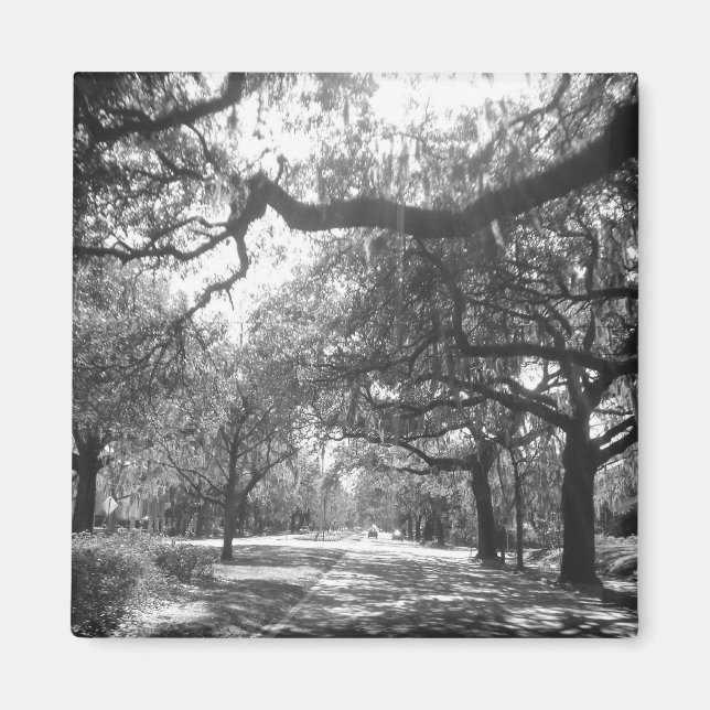 naturens hamn magnet (Framsidan)