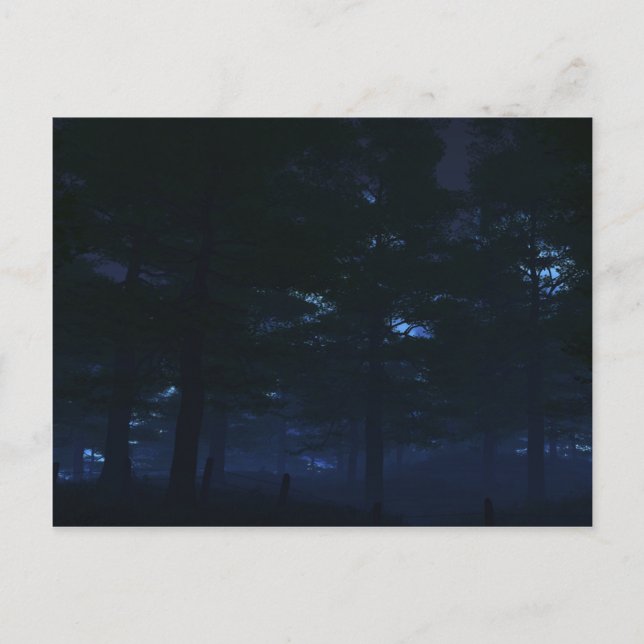 Naturens hemliga vykort (Framsida)