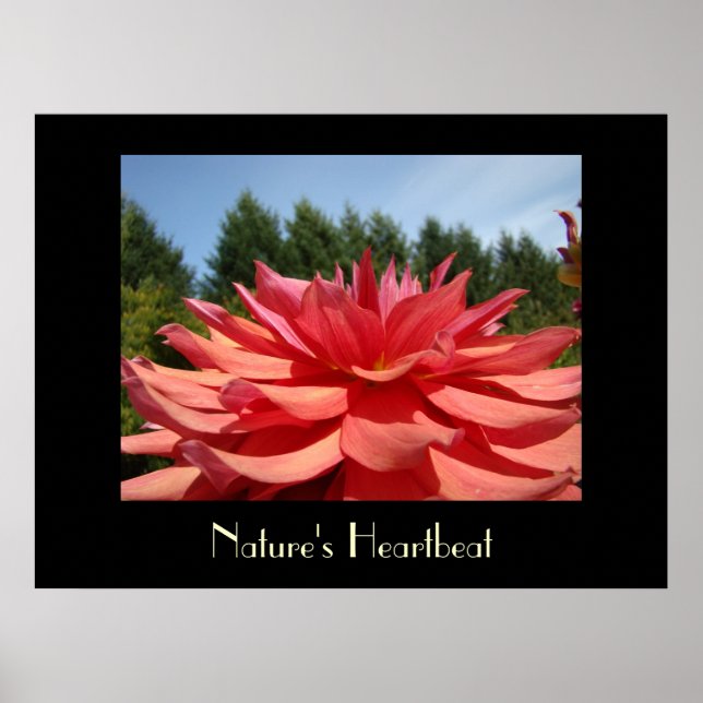 Naturens hjärtslag Konsttryck Dahlia Blomma Canvas Poster (Framsidan)