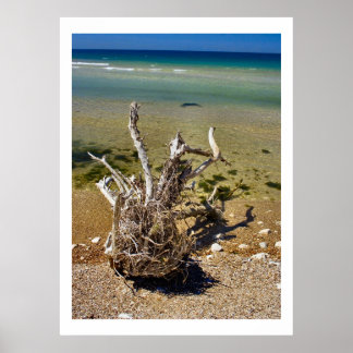 Naturens Inslag - Poster med trästrå