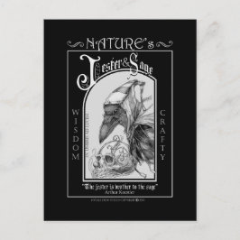 Naturens Jester och Sage Vykort