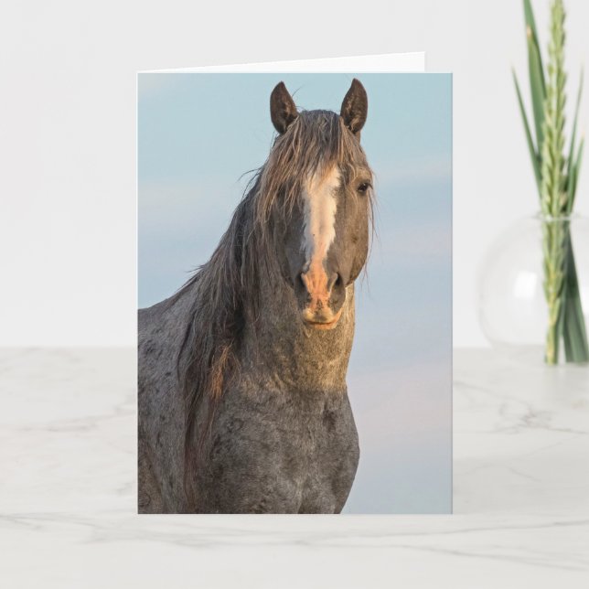 Naturens kraft-kort kort (Framsida)