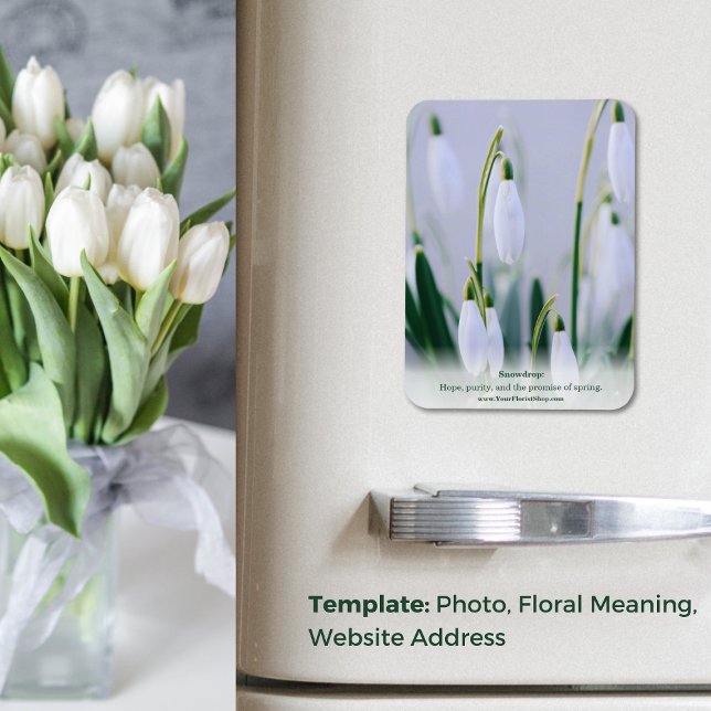 Naturens lärdom: Snowdroppe Educational Fridge Magnet (Nature's Lesson: Snowdrop Educational Fridge Magnet)