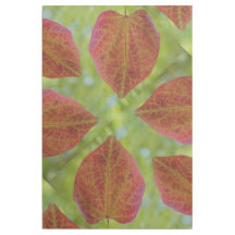 Naturens Löv i Kärlek