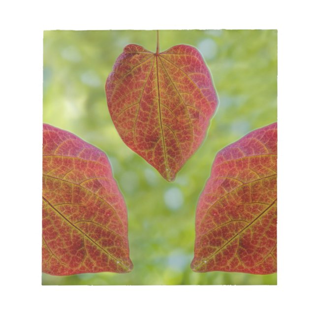 Naturens Löv i Kärlek Anteckningsblock (Framsida)