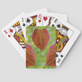 Naturens Löv i Kärlek Casinokort