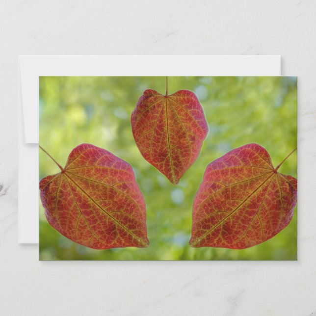 Naturens Löv i Kärlek Tack Kort (Framsida)