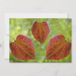 Naturens Löv i Kärlek Tack Kort