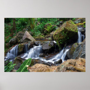 Naturens Lycka Poster