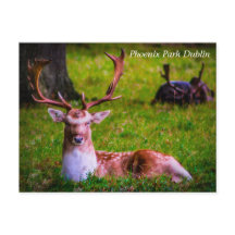 Naturens majestät i Phoenix Park