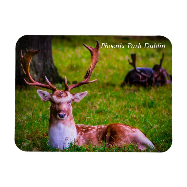 Naturens majestät i Phoenix Park Magnet (Horisontell)