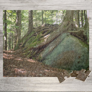 Naturens motståndskraft Träd på Boulder Fotografis Pussel