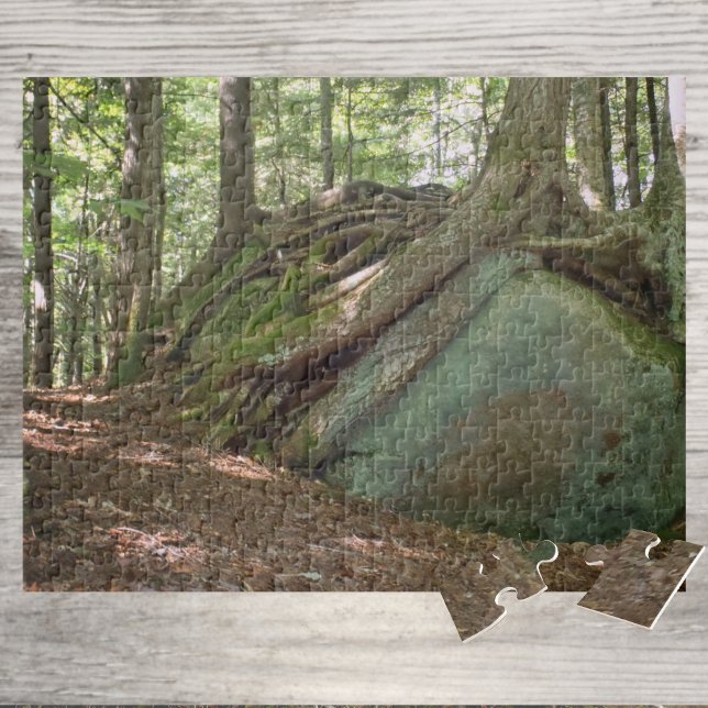 Naturens motståndskraft Träd på Boulder Fotografis Pussel (Skapare uppladdad)