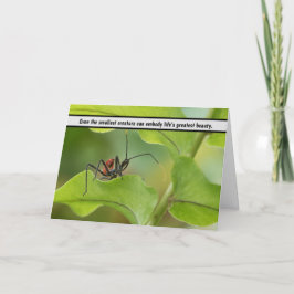 "Naturens ömtåliga balans - Insekten på Löv" Tack Kort