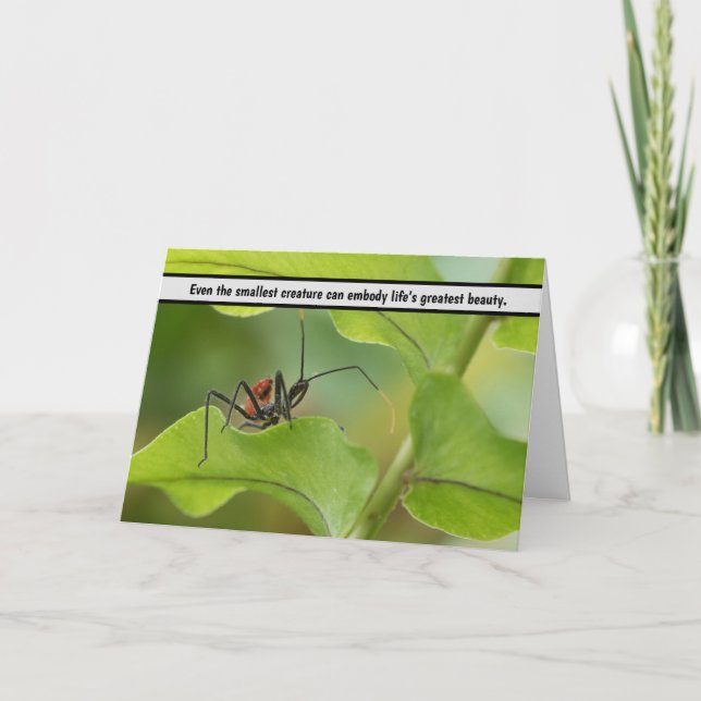 "Naturens ömtåliga balans - Insekten på Löv" Tack Kort (Framsida)