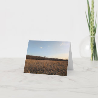 Naturens pekskärm - Tomt Hälsning och tackkort