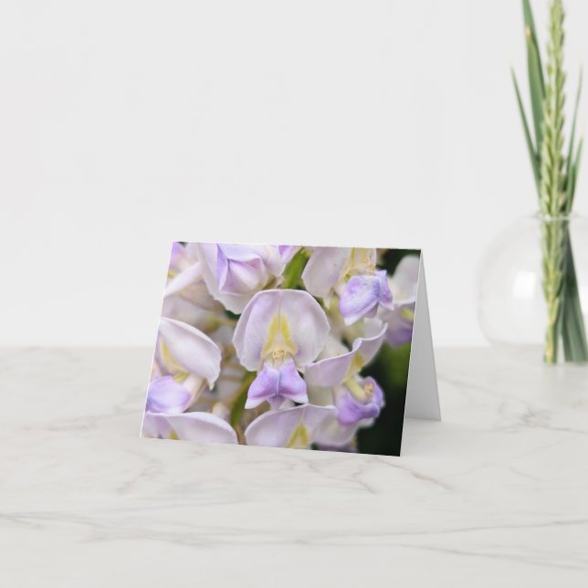 Naturens pekskärm - Tomt Hälsning och tackkort Kort (Framsida)