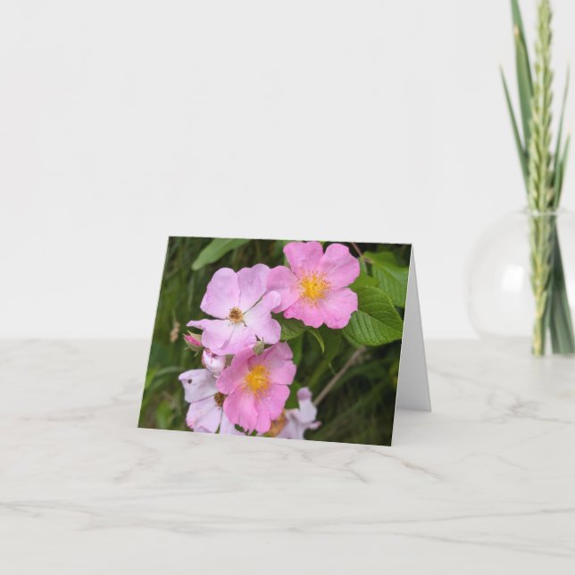 Naturens pekskärm - Tomt Hälsning och tackkort Kort (Framsida)