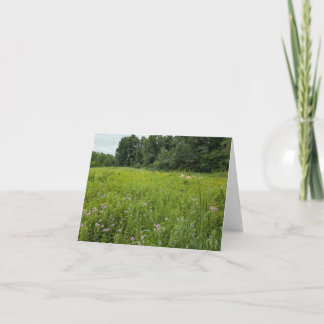 Naturens pekskärm - Tomt Hälsning och tackkort Kort