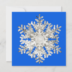 Naturens perfektion Briljant blå snöflinga Julkort
