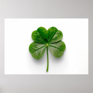 Naturens perfektion: Symmetrin hos ett Löv Poster