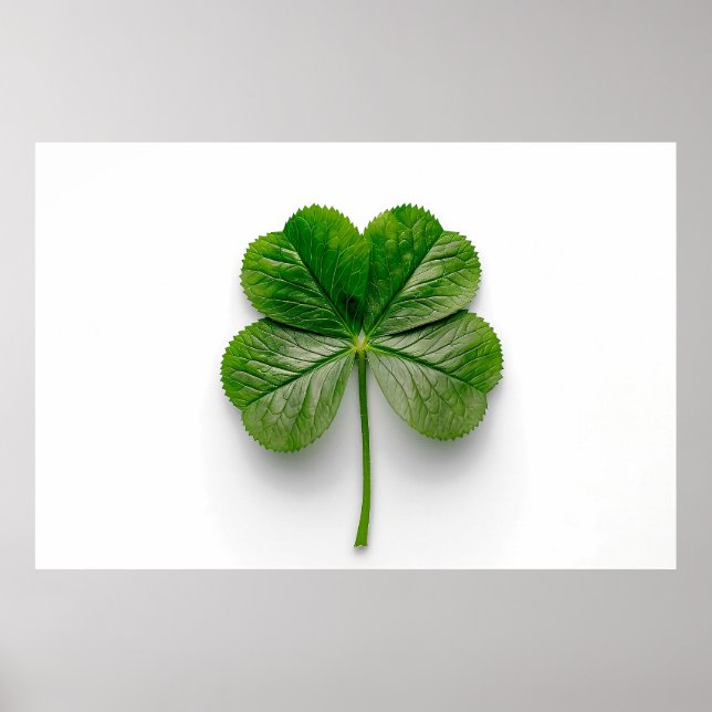 Naturens perfektion: Symmetrin hos ett Löv Poster (Framsidan)