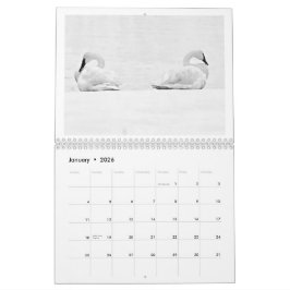 Naturens Perspektiv - 2026 Väggtidbok Kalender