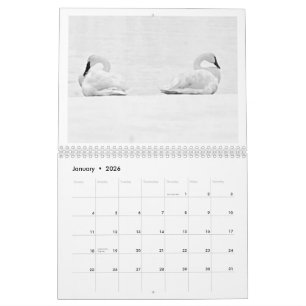 Naturens Perspektiv - 2026 Väggtidbok Kalender