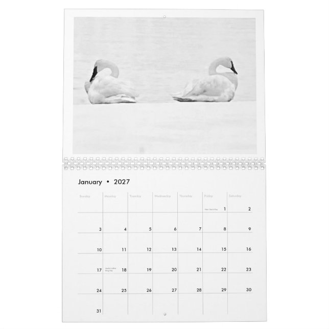 Naturens Perspektiv - 2026 Väggtidbok Kalender (Jan 2027)