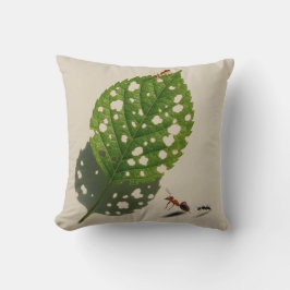 Naturens regniga arkitekter är deras läder Canvas Kudde