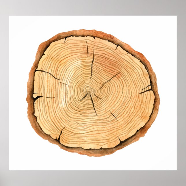 Naturens Ringar: Triumph Träd Struktur Poster (Framsidan)