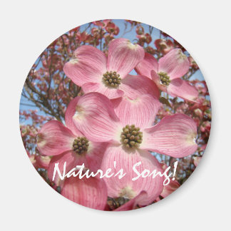 Naturens sång! magnet Rosa Dogwood blommor