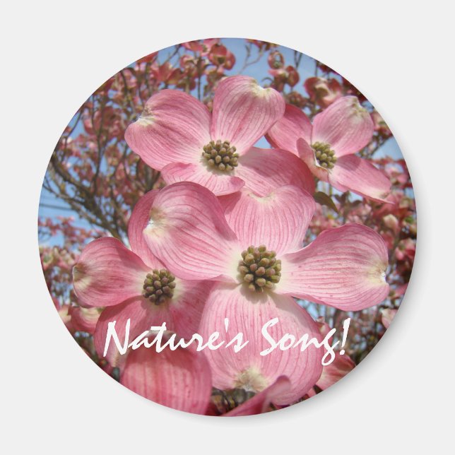 Naturens sång! magnet Rosa Dogwood blommor (Framsidan)