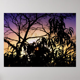 Naturens silhuett Poster