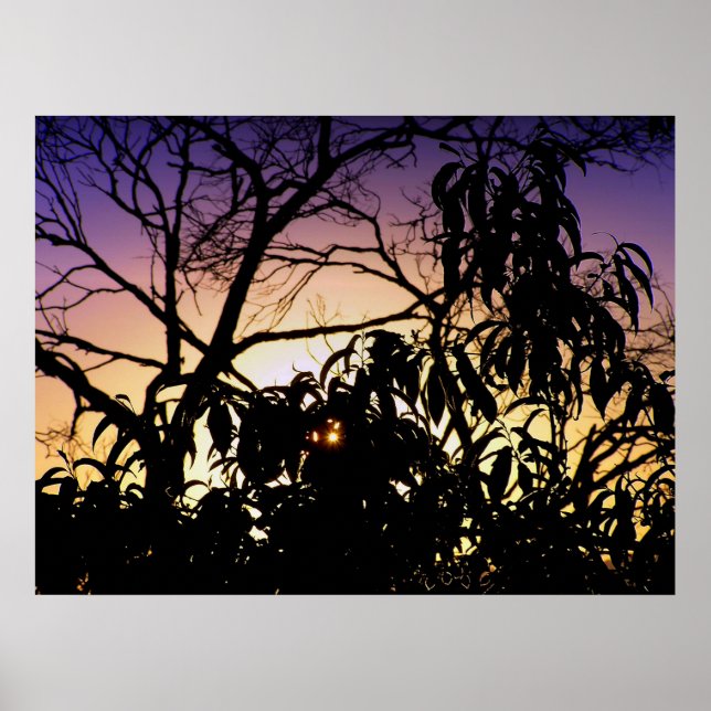 Naturens silhuett Poster (Framsidan)