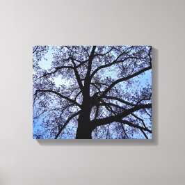 Naturens skönhet canvastryck