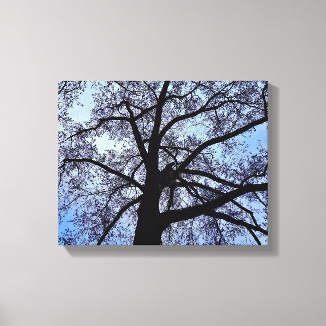 Naturens skönhet canvastryck (Framsida)