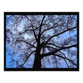 Naturens skönhet fototryck