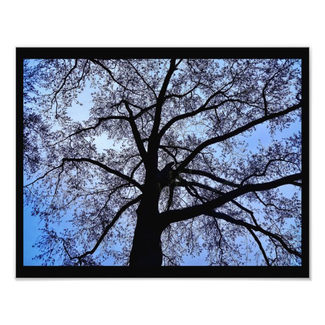 Naturens skönhet fototryck (Framsidan)