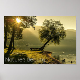 Naturens skönhet Fredlig omgivning Poster