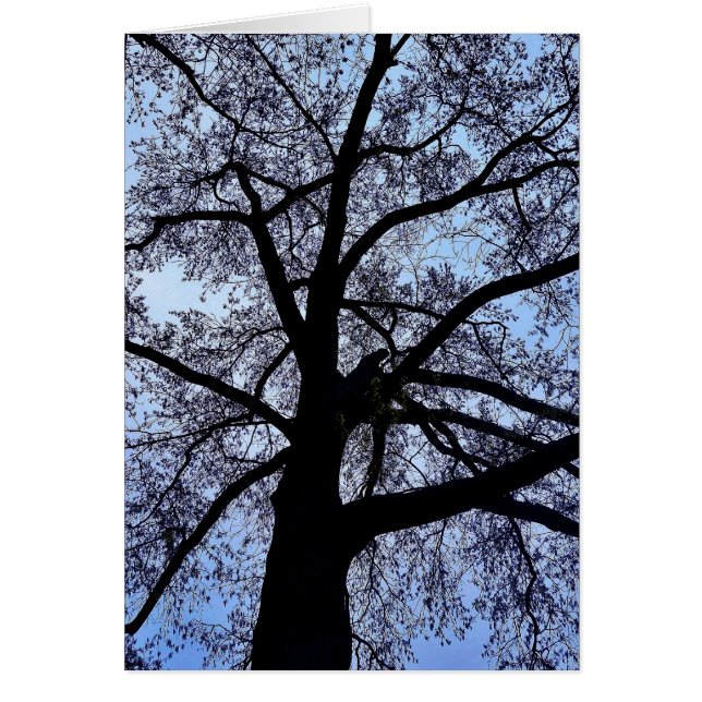 Naturens skönhet hälsningskort (Framsidan)