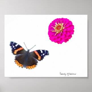 Naturens skönhet poster